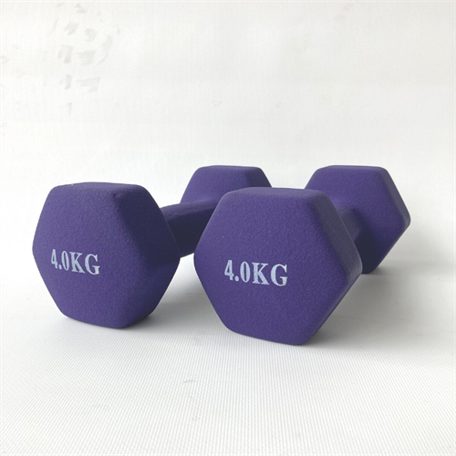 ASG Neoprene Hantlar 2 x 4 kg